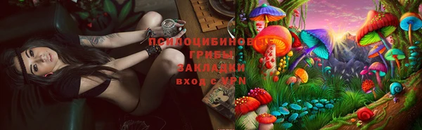 стаф Арсеньев