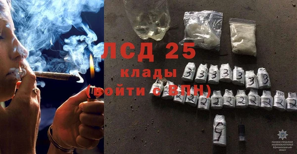 стаф Арсеньев