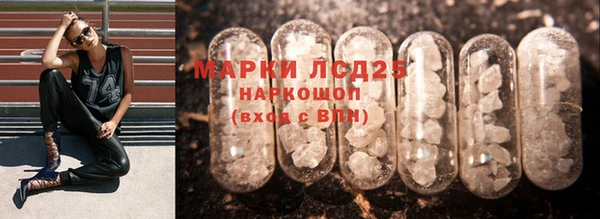 стаф Арсеньев